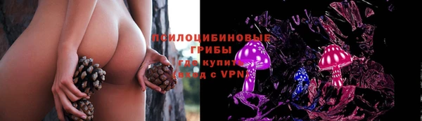 кристаллы Богданович
